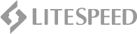 logo-lightspeed